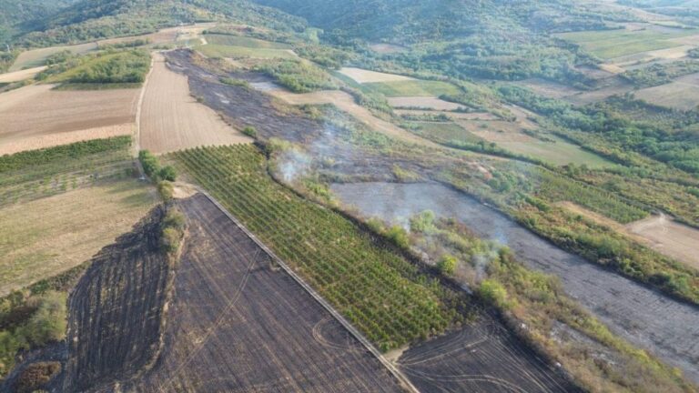 Veliki požar u Čereviću: Izgorelo preko 10 hektara, vatrogasci obuzdali stihiju