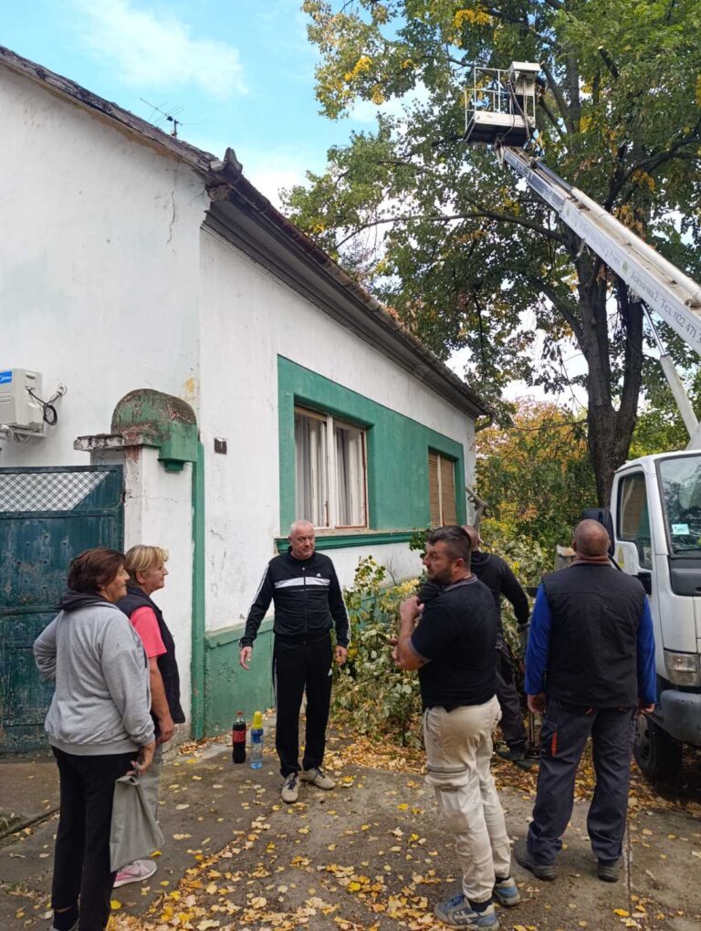 Uređenje drvoreda u Beočin selu: Uspešno završeni radovi u ulici Stojana Vukosavljevića